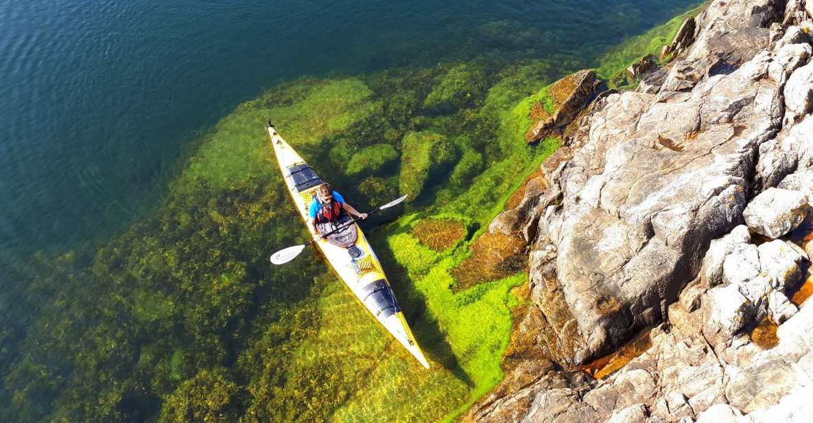 Stockholm: 1, 2, or 3-Day Kayaking Tour in the Archipelago - Exploring Local Wildlife and Flora