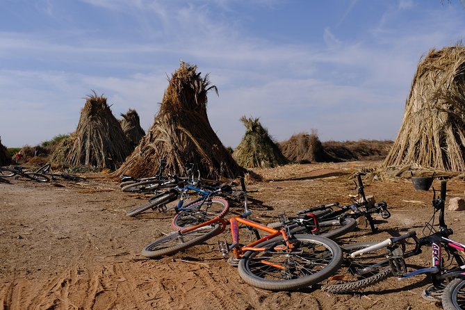 Suncycling in Marrakechs Palm Groove - Breakfast Included - Ecolodge Visit