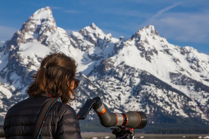 Sunrise 4-Hour Grand Teton Wildlife Adventure - Customer Feedback