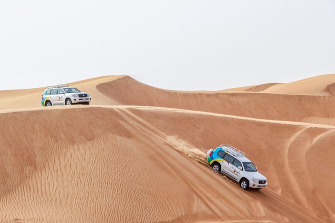 Sunrise Safari With Wildlife Experience - Desert Dune Driving