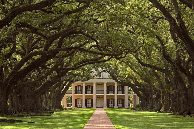 Swamp Boat Ride and Oak Alley Plantation Tour From New Orleans - Tour Experience and Customer Feedback