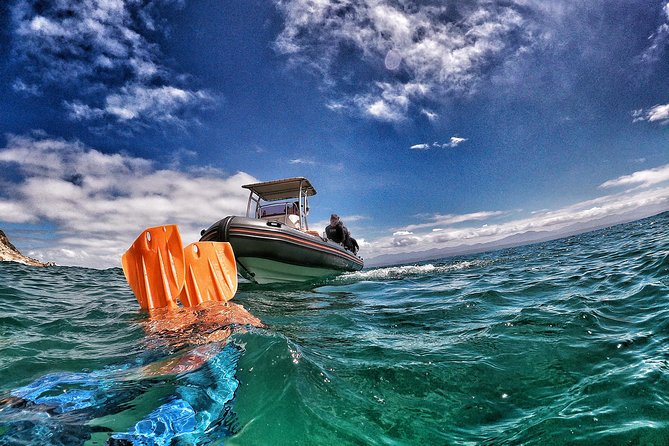 Swim With Seals - Meeting and Pickup