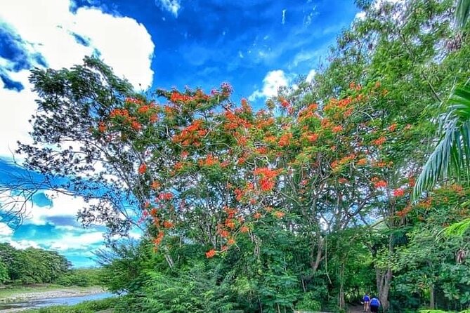 Taíno Bay & Amber Cove 7 Damajagua Waterfall Lunch Excursion - Additional Information