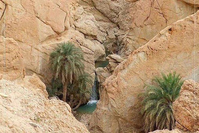 Tamerza Canyon Oasis Tour - Tour Logistics