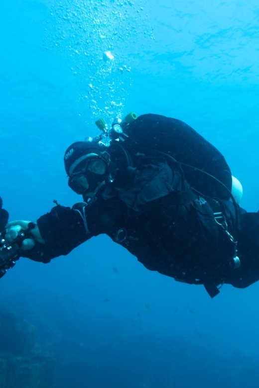 Tenerife: Private Dive for Beginners From a Boat - Experience Highlights