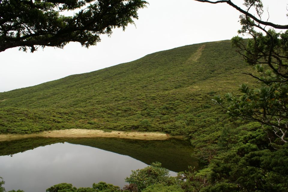 Terceira Island: Walking Trails Hiking Tour - Hiking Options and Terrain