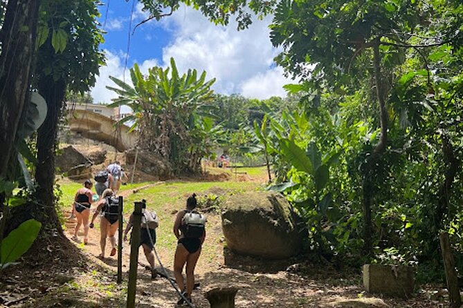 The El Yunque Waterslide and Waterfall Tour With Food and Photos - Meeting Point and Pickup Details