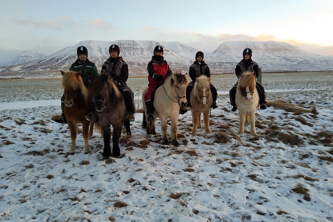 The Viking Horse Riding Experience in North Iceland - Additional Information for Travelers