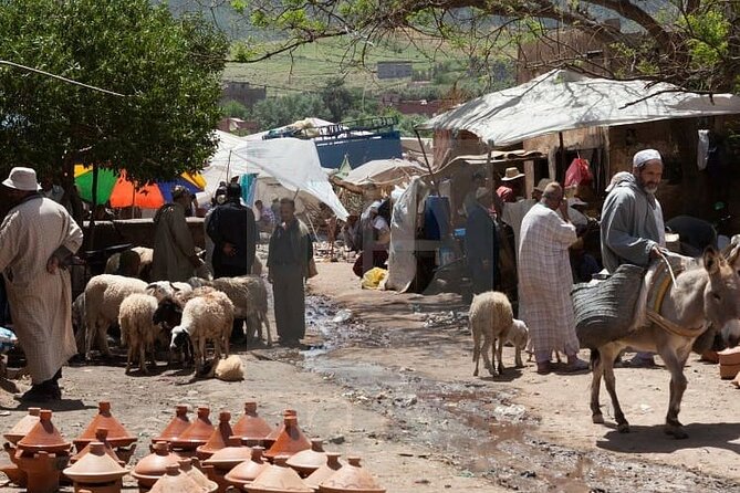 Three Valleys of Atlas Mountains Day Tour From Marrakesh - Accessibility and Participation