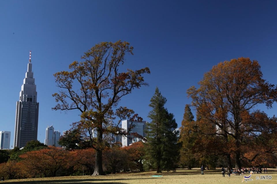 Tokyo City Half-Day Cruising Review - Transportation and Accessibility