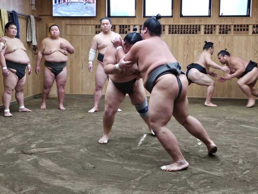 Tokyo: Grand Sumo Morning Training Tour Review - Experience Highlights