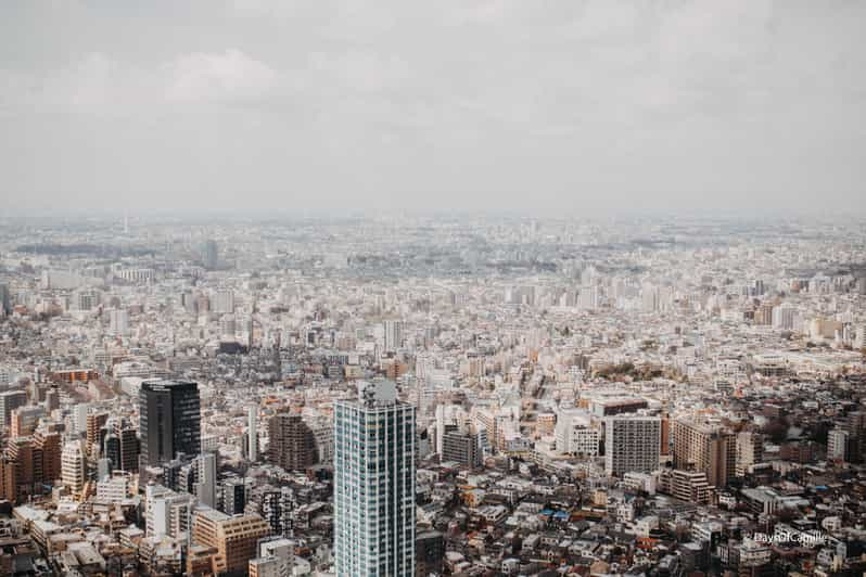 Tokyo, Half Day : Private Tour With an Expert ! - Exploring Meiji Shrine