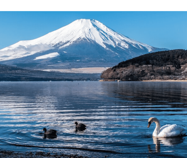 Tokyo: Mount Fuji & Hakone Tour By English Speaking Guide - Transportation and Comfort