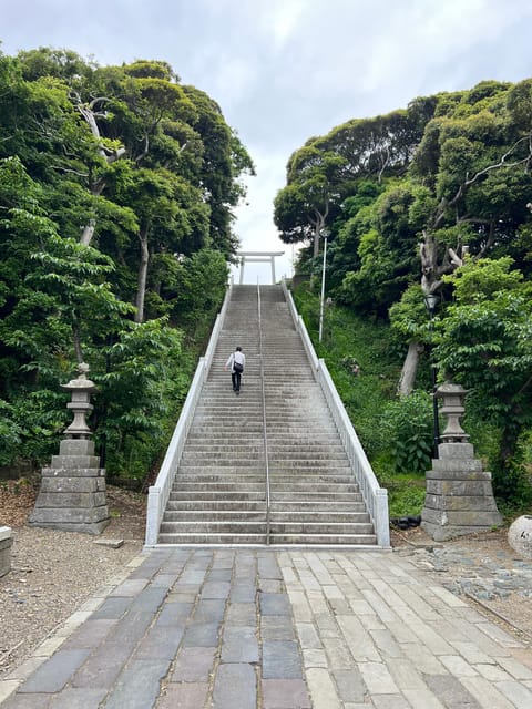 Tokyo:Hitachi Seaside Park/Oarai Isosaki Shrine Private Tour - Hitachi Seaside Park