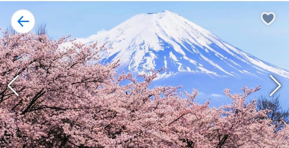 Tokyo:Private Luxury Car Tour to Mt. Fuji and Lake Kawaguchi - Transportation and Accessibility