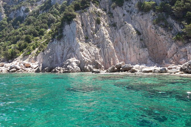 Tour in Rubber Dinghy and Snorkeling in the Protected Marine Area of Tavolara - Meeting Point and Pickup Location