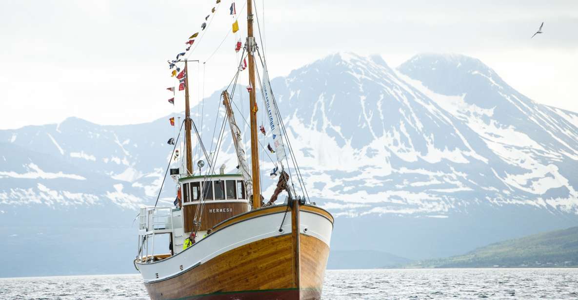 Tromsø: Fishing & Fjord Cruise - Experience Highlights