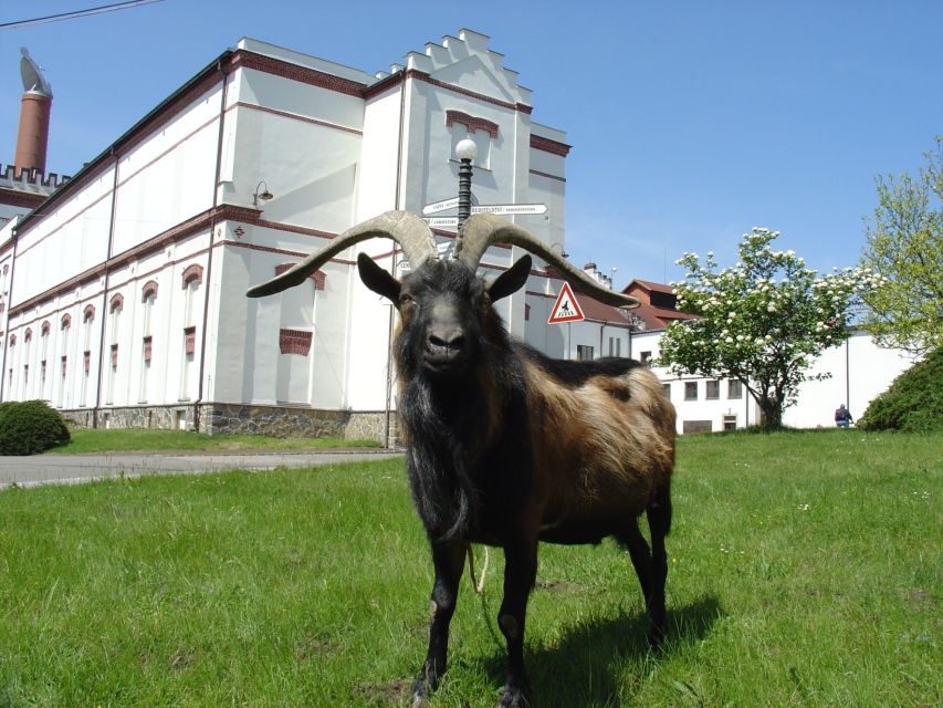 Velke Popovice: Kozel Brewery Tour With Beer Tasting - Brewery House and Lager Cellars