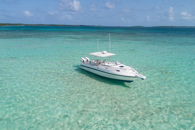 Visit the Ocean Swings! Full Day Harbour Island Private Boat Tour - Schedule