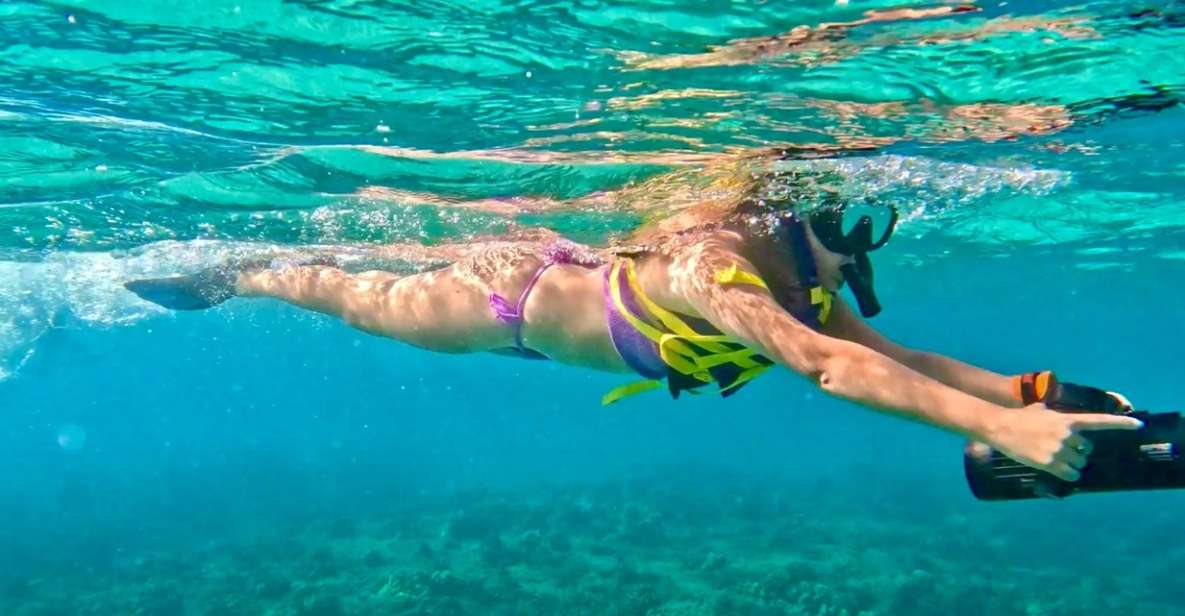 Waikiki: Monk Seal Bay Dolphin and Turtle Jet Snorkel Tour - Experience Highlights