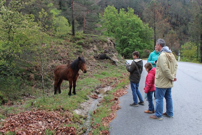 Waterfalls, Heritage and Nature in Gerês Park - From Porto - Picturesque Walking Paths