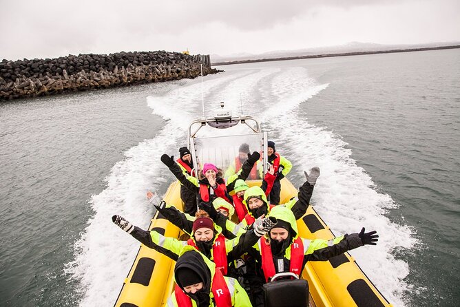 Whale Watching by RIB Speedboat From Downtown Reykjavik - Customer Experiences