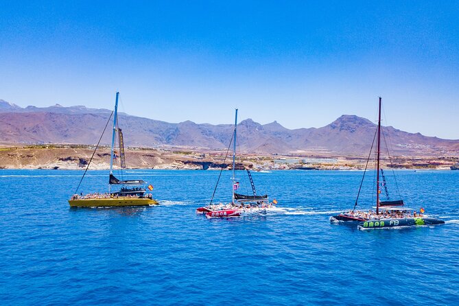 Whale Watching Catamaran to Los Gigantes & Masca (Including Drinks & Warm Lunch) - Meeting and Pickup