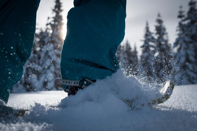 Whistler Snowshoeing Adventure - Tour Duration and Group Size