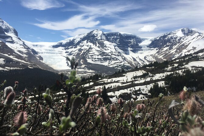 Wilcox Pass - What to Bring