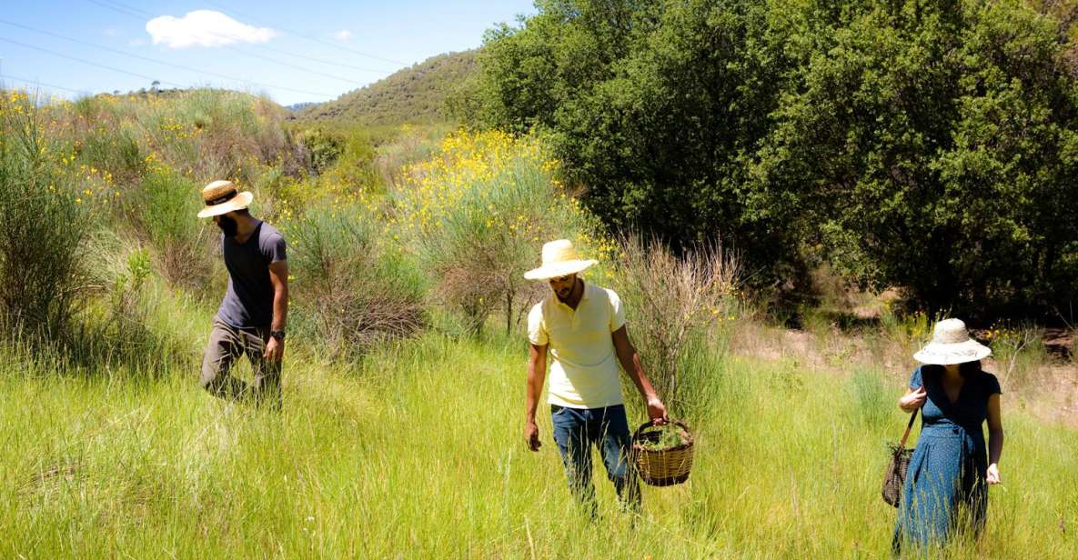 Wild Walk: Discover the Local Wild Flora - Experience Highlights