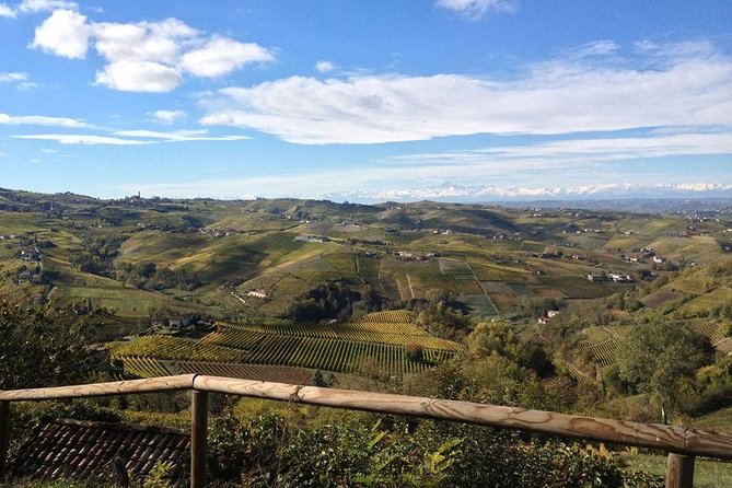 Wine Tasting With the Producer - Visit to the Cellar & Vineyards Between Langhe & Monferrato - Calosso DOC