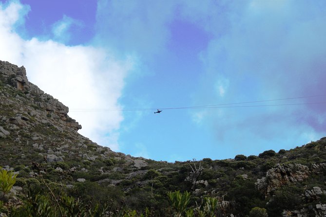 Zipline Cape Town - From Foot of Table Mountain Reserve - Meeting Point and Pickup