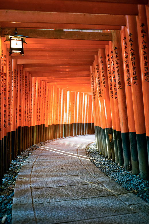 1 Day Kyoto to Nara: Penetrate Into Japanese Ancient Culture - Important Information and Policies