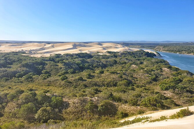 2 Day Addo Elephant Park Safari - Safari Logistics