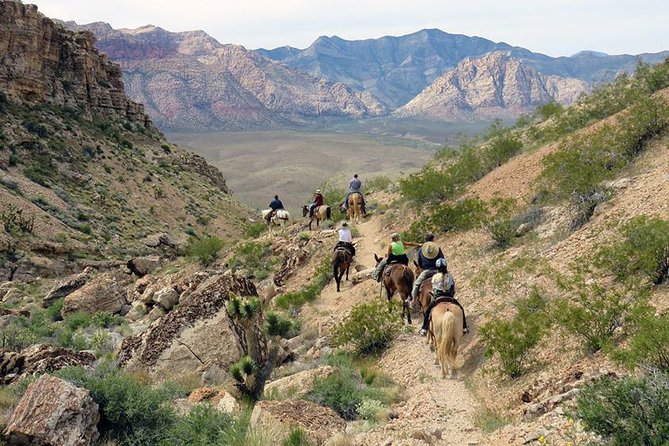 2-Hour Horseback Riding Through Red Rock Canyon - Safety and Requirements