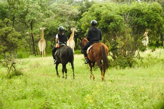 2-Hour Horseback Safari in Hartbeespoort - Hartbeespoort Location