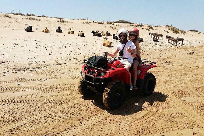 2h Quad Bike on the Beach and in the Dunes - Traveler Reviews