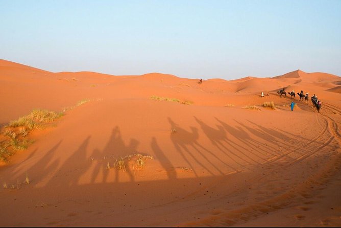 3 Days Desert Tour From Fes to Marrakech via Merzouga - Camel Safari and Sandboarding