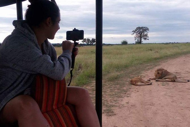 3 Days Serengeti & Ngorongoro Tour - Unique Experiences