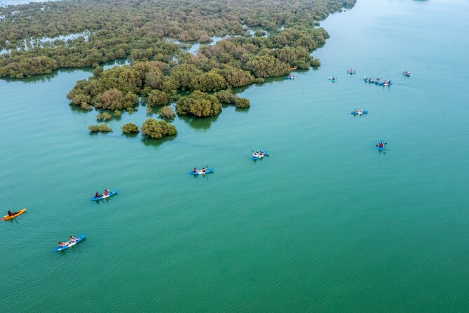 3-Hour Kayaking Eco Adventure - Mangrove Purple Island - Wheelchair/Stroller Accessibility