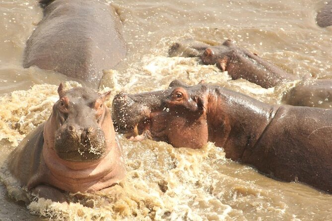 4 Day Serengeti and Ngorongoro Crater - Included Amenities Overview