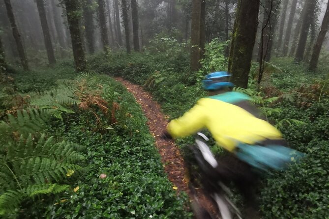 4 Hour Private MTB Enduro Trail Tour in Sintra Mountain - Health and Safety Guidelines