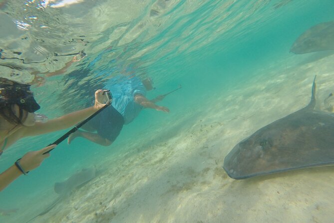 4 Hour Private Sandy Cay Experience With Snorkeling - Adults Only - Schedule and Availability