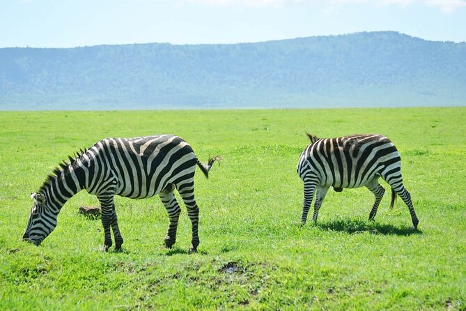 5-Day Ngorongoro Crater and Lake Manyara Safari From Arusha - Excluded From the Tour