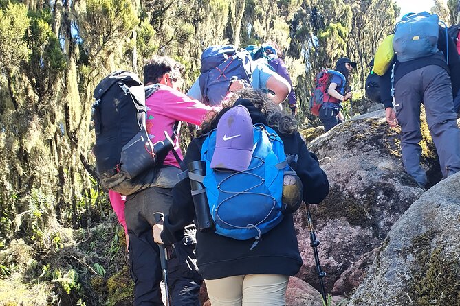 6 Days Climbing Mount Kilimanjaro Machame Route - Confirmation and Accessibility