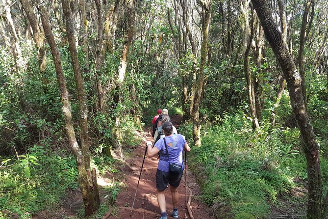 7-Day Mountain Climbing in Machame Route - Health and Fitness Requirements