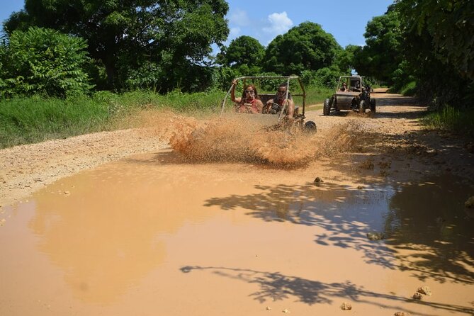 Adrenaline in Buggies for Half-Day Groups - Confirmation and Review