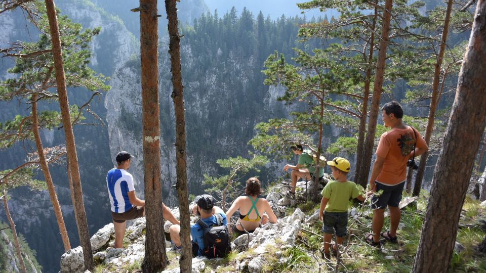 Adventure Trip From Iasi: Hiking in the Carpathian Mountains - Included Services