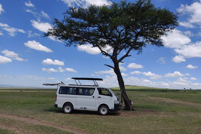 Afternoon Half Day Mini Safari to Nairobi National Park - Pickup Information