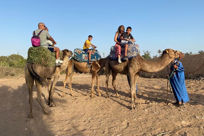 Agadir Sunset Camel Ride With Moroccan Barbecue & Hotel Transfers - Satisfaction Guaranteed Reviews